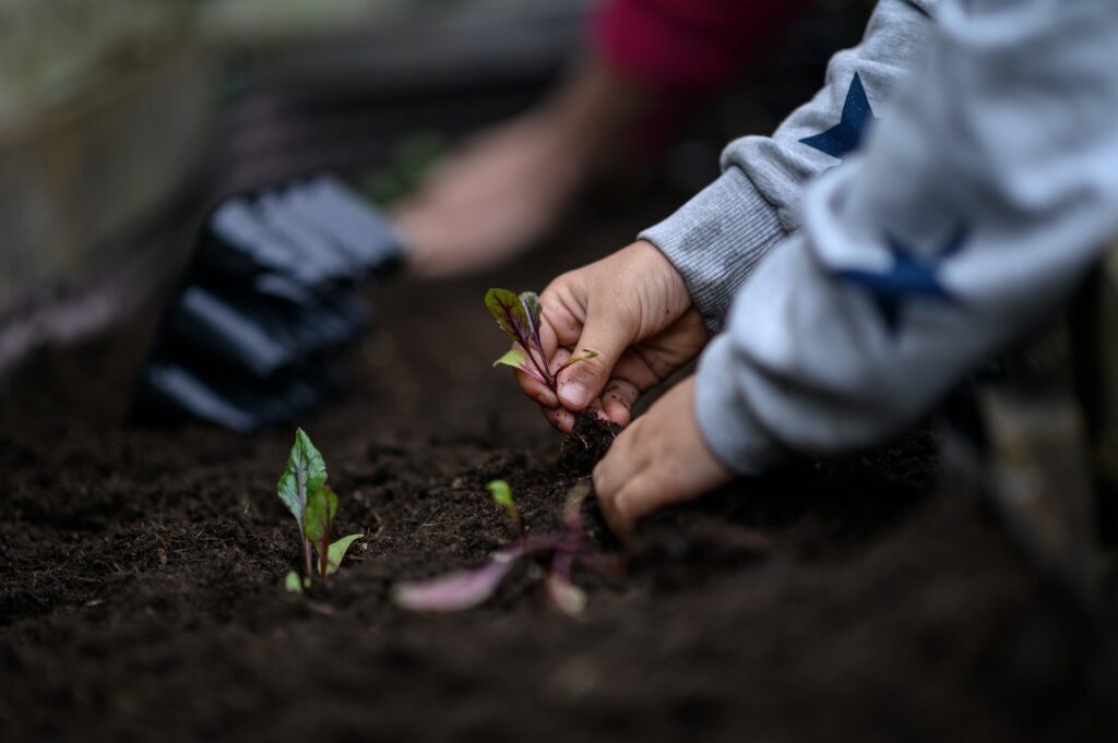 Child planting seedlings